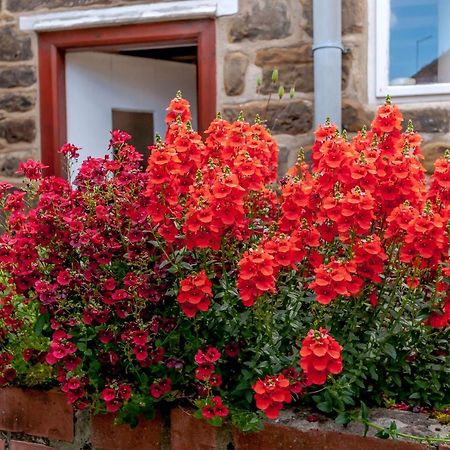 Chimes Cottage Guisborough Exteriör bild