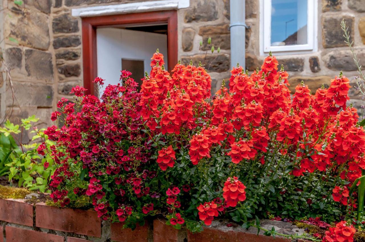 Chimes Cottage Guisborough Exteriör bild